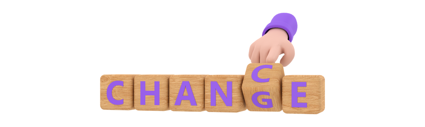 Bounce house event past aan aan jouw wensen.